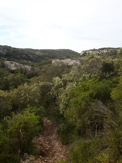 La garrigue