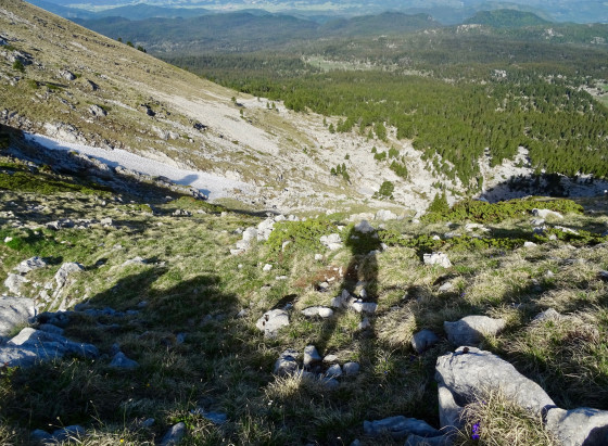 La Grande Côte, sous le sommet de Maleval