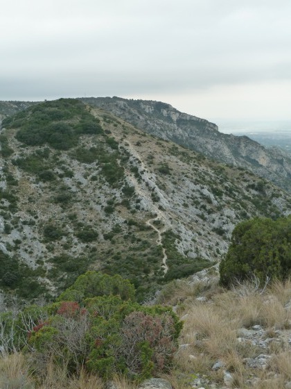 La ligne de crete