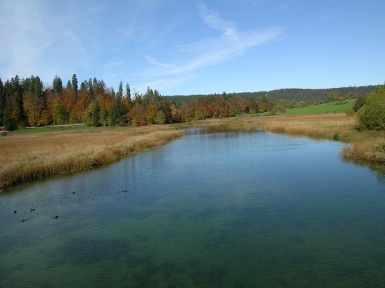 La réserve du lac Saint Point