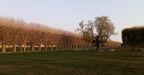 La Terrase de l'Observatoire