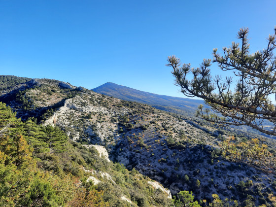 La tête du Gros Charme