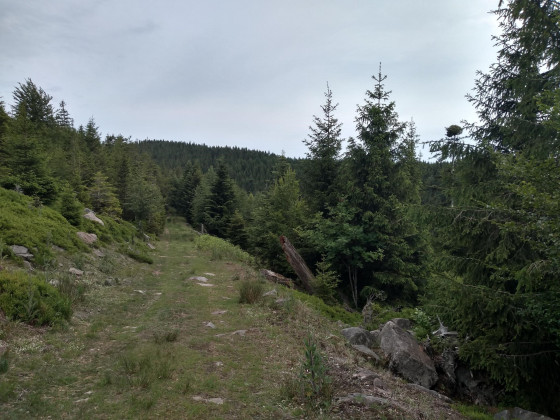 Lac de la Maix en juin