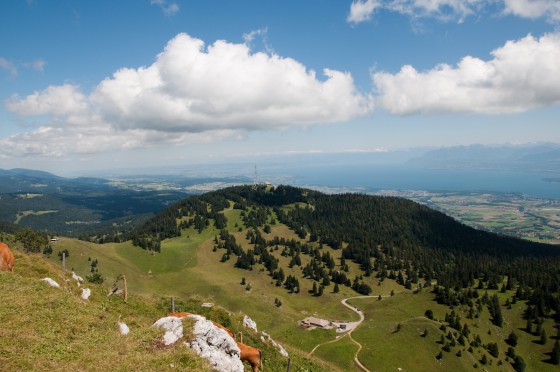 Lac Léman