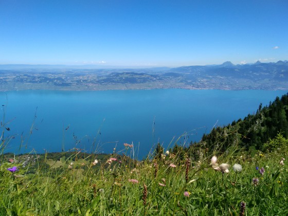 Lac Léman