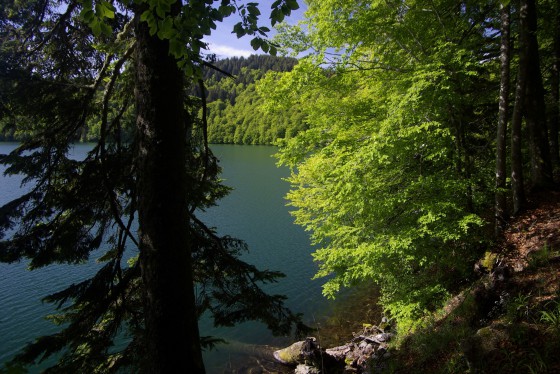 Lac Pavin