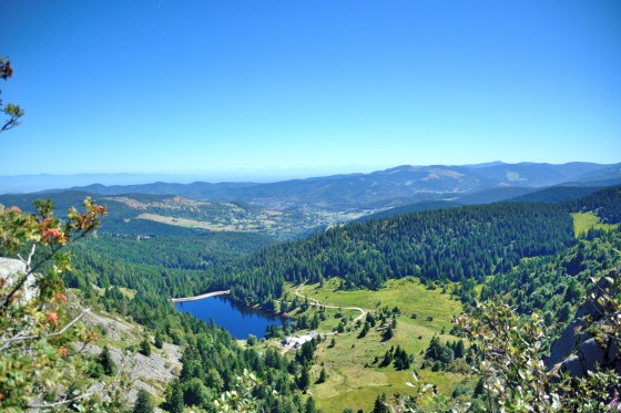 Lac vert au lac des truites