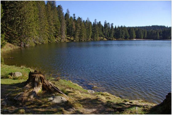 Lac Vert ou de Soultzeren - 1053m