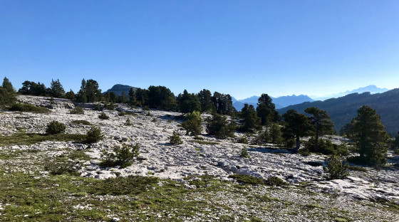 Lapiaz et Mont Granier