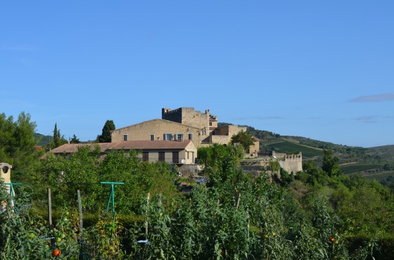 le chateau de Roquetaillade