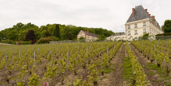 Le Château de Saran