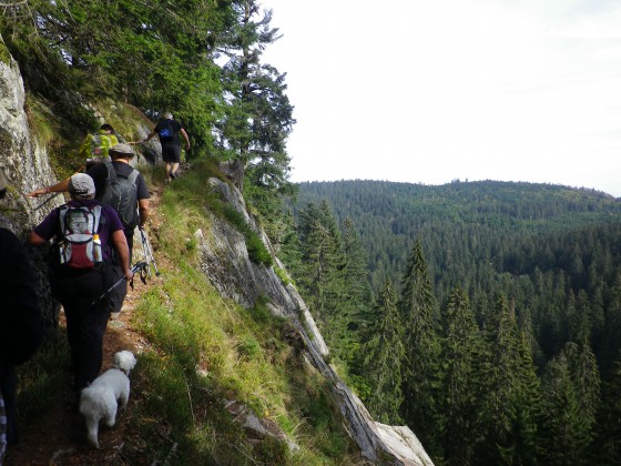 le chemin escarpé