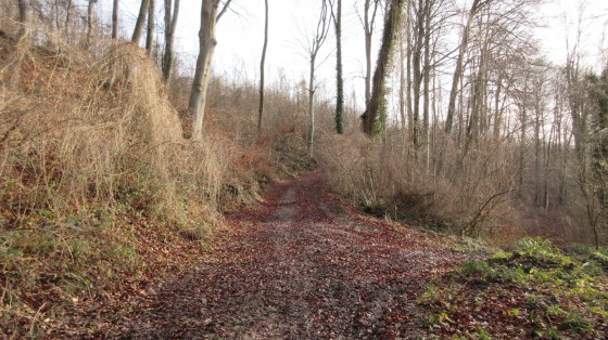 Le chemin Saint-Antoine