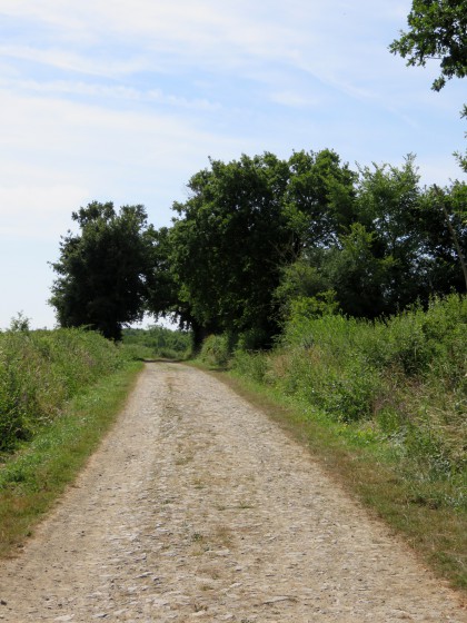 Le GR devient un chemin carrossable