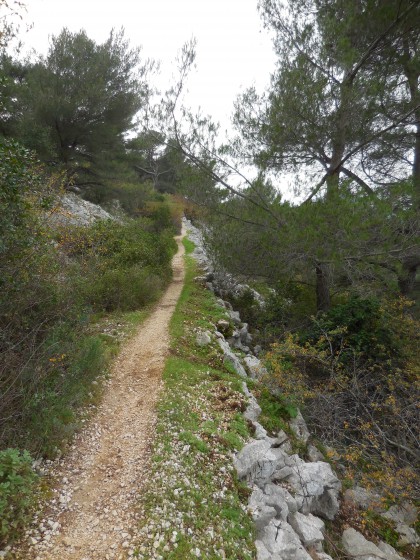 Le GR51 en descente vers la Barre de Taillan