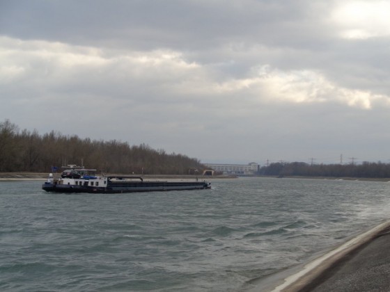 Le Grand Canal d'Alsace (mars 2016)