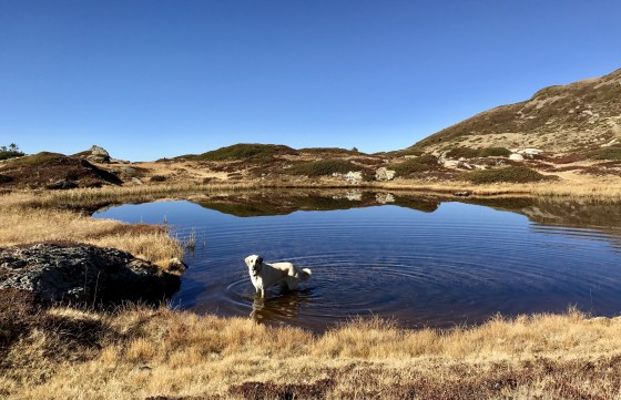 Le Lac du Grand Pré