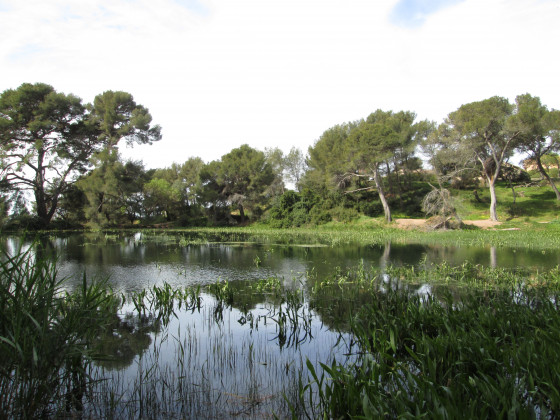 Le lac en eau - 3 avril 2015