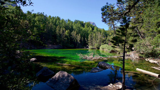 Le Lac Vert depuis la rive Sud