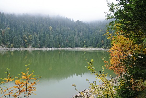 Le lac Vert ou de Soultzeren