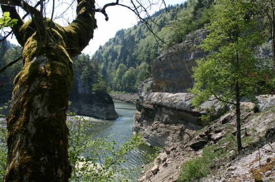 Le long du lac de Moiron