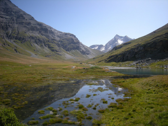 Le marais en amont du lac du Saut