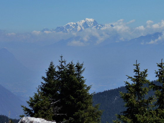 Le Mont Blanc vue du Pinet