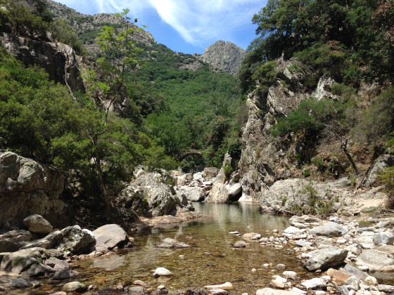 Chemin empierré - Randonnée des gorges de l'Orb à Roquebrun