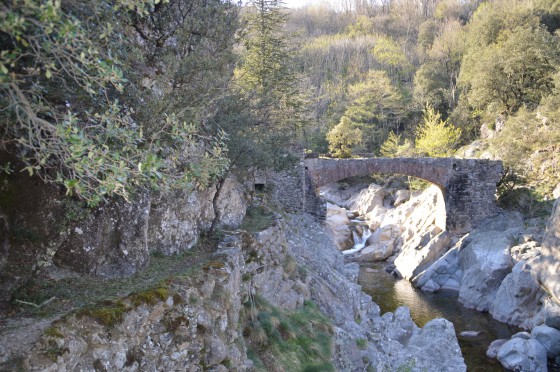 le pont rouge