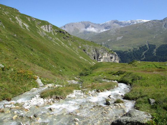 Le ruisseau de la Sachette