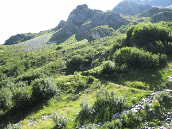 Le sentier après la traversée du Nant Blanc