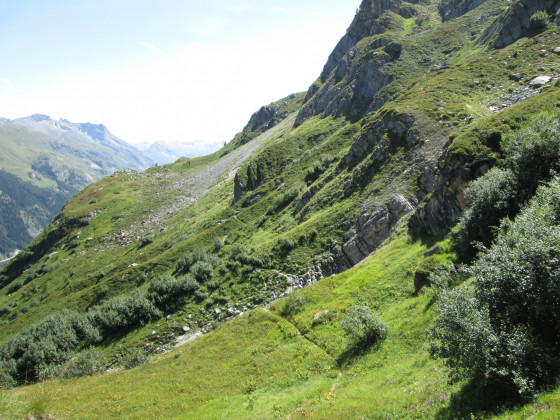 Le sentier au Plan des Pierres