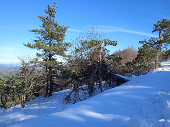 le sentier en arrivant à Boulateyron