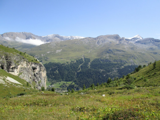 Le vallon de la Sache vers l\'aval