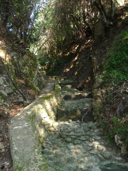 Le vallon obscur