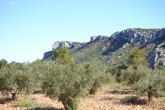 Les Alpilles