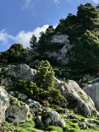 Le Charmille - Embranchement vers la Croix de l'Alpe