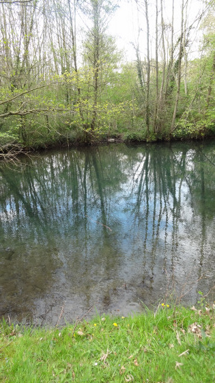 Les Eaux bleues, TAVERS