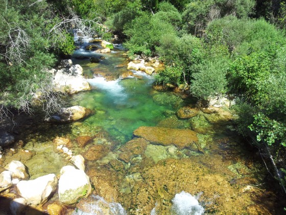 Les gorges de la siagne