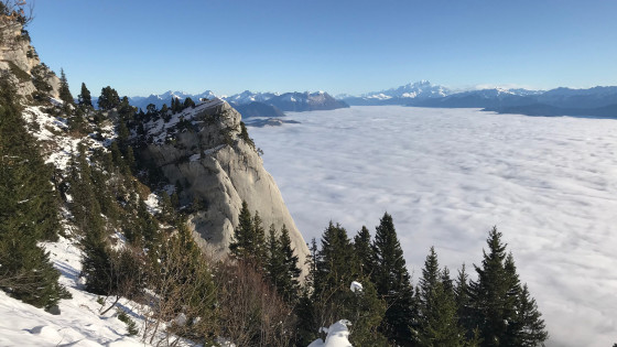 Les Griffes de l'Ours