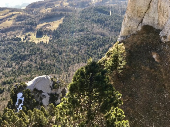 Les Griffes de l'Ours