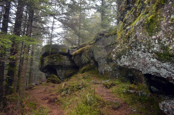 Les Roches Saint Jacques