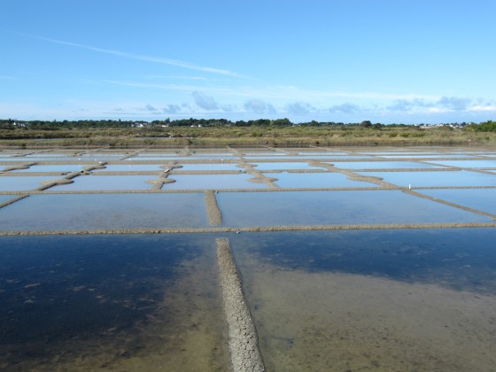 Les salines