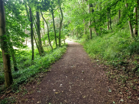 Rufford Mere Sands Circular - Walk