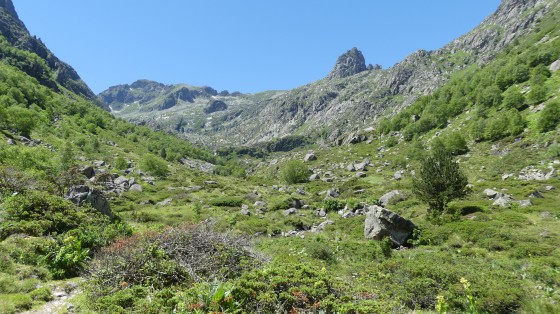 Montée vers l'Etang de Peyregrand