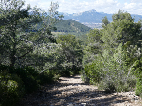 Au loin, le Coudon