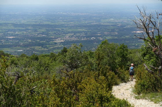 Panorama sur la plaine du Comtat Venaissin