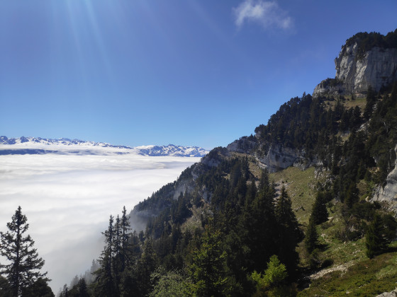 Panorama depuis le sangle des Belles ombres