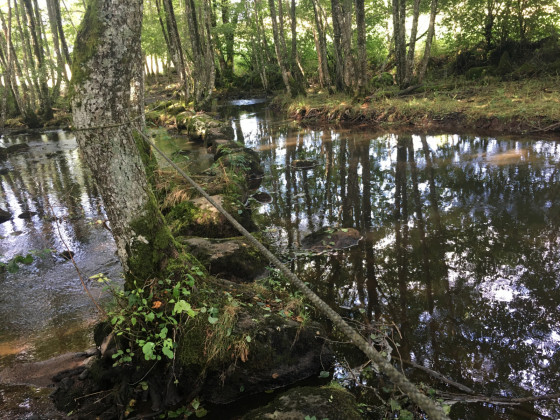 Passage de rivière (le Siniq) sur des pierres à l'aide d'une corde