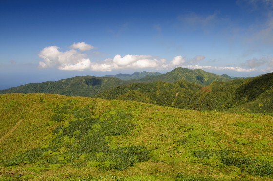 Paysage de Basse-Terre